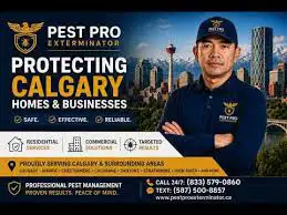Complete Pest Control, View more