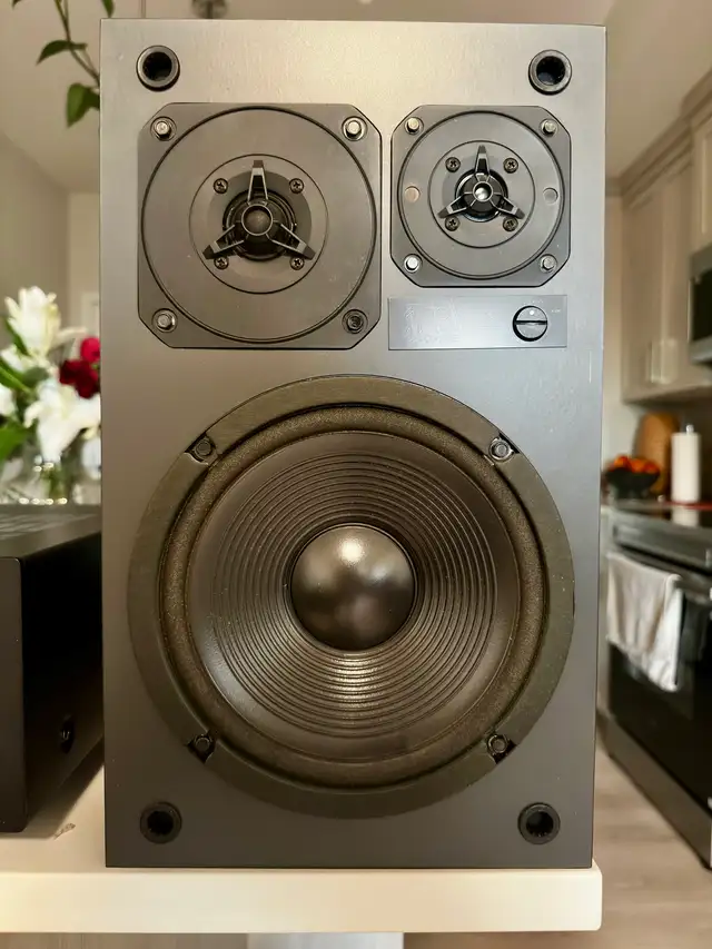Speakers in Speakers in Calgary - Image 6