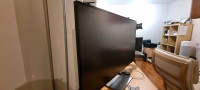 Dell u4320, 43inch professional monitor 