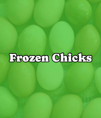 Frozen Chicks