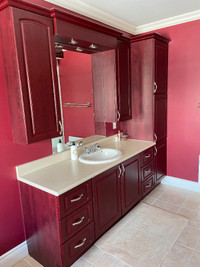 BATHROOM VANITY WITH CABINET TOP, CUPBOARD, SINK AND FAUCET