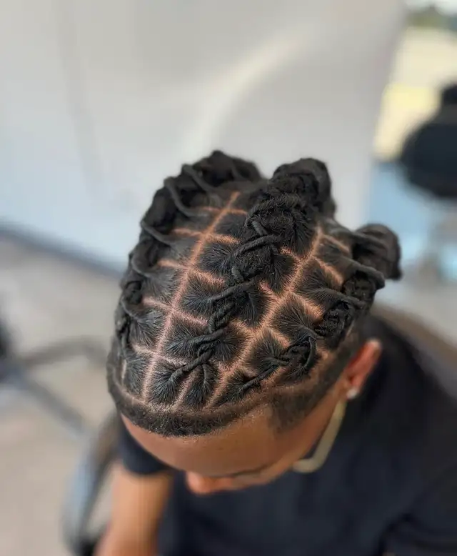 Braids and Locs602765533412730888