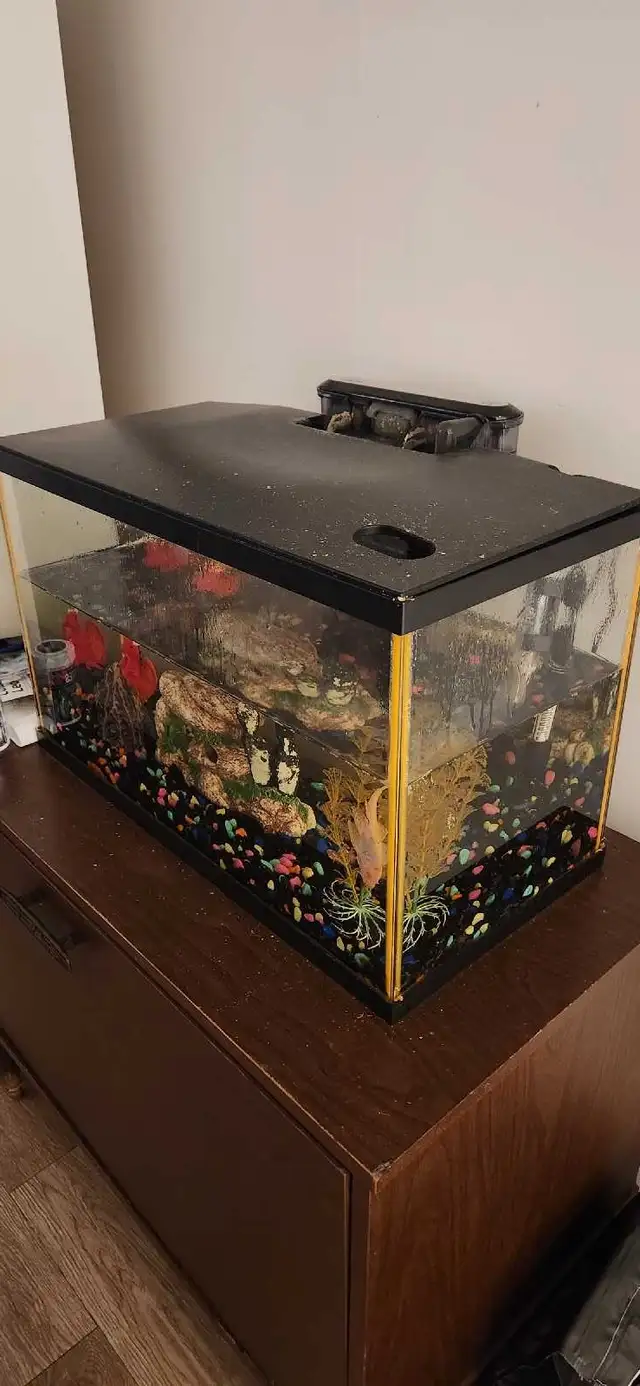 Aquarium Et accessoires  in Accessories in City of Montréal - Image 3