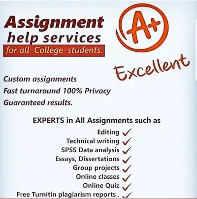 Online Class & Exam Help – Nursing, Essays, Assignments, View more