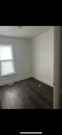 Looking for a roommate from May 1