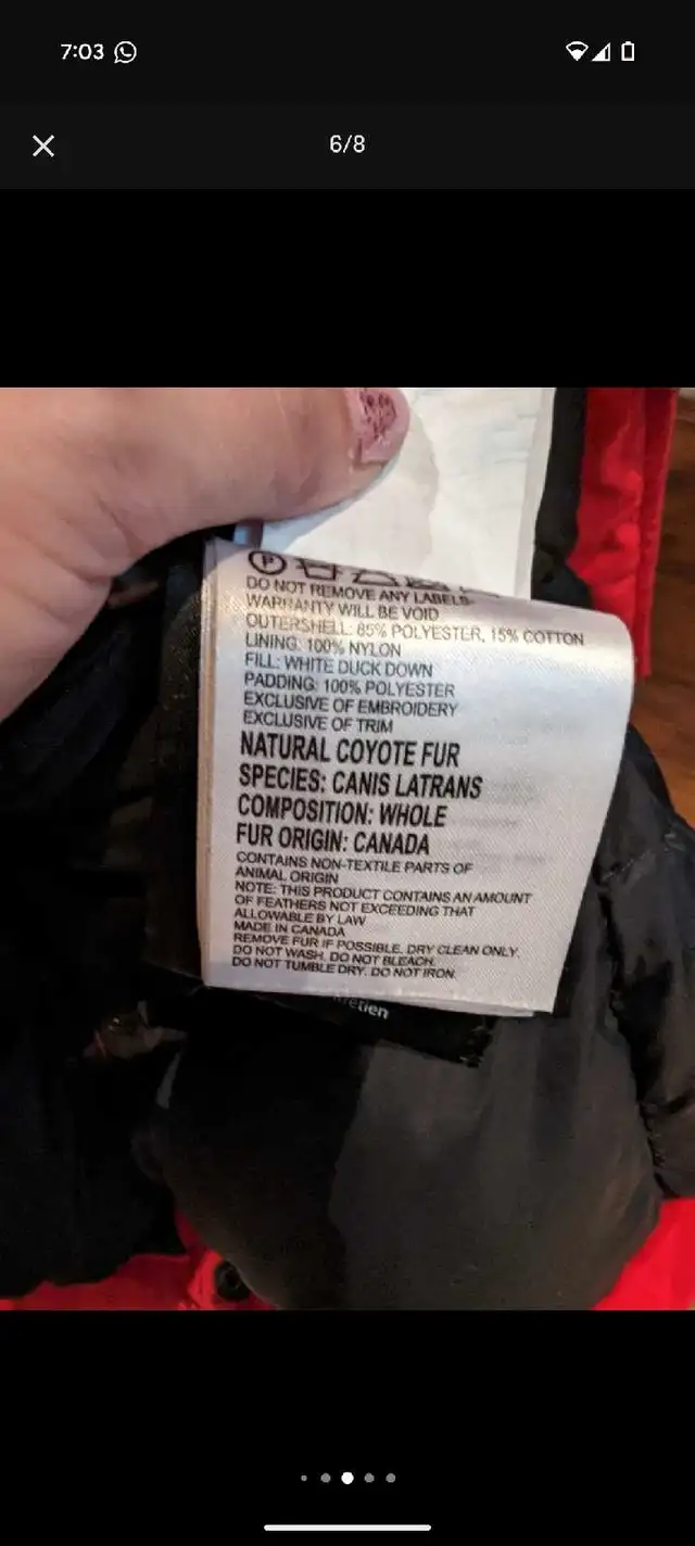 Canada Goose Jacket  in Women's - Tops & Outerwear in Kitchener / Waterloo - Image 8
