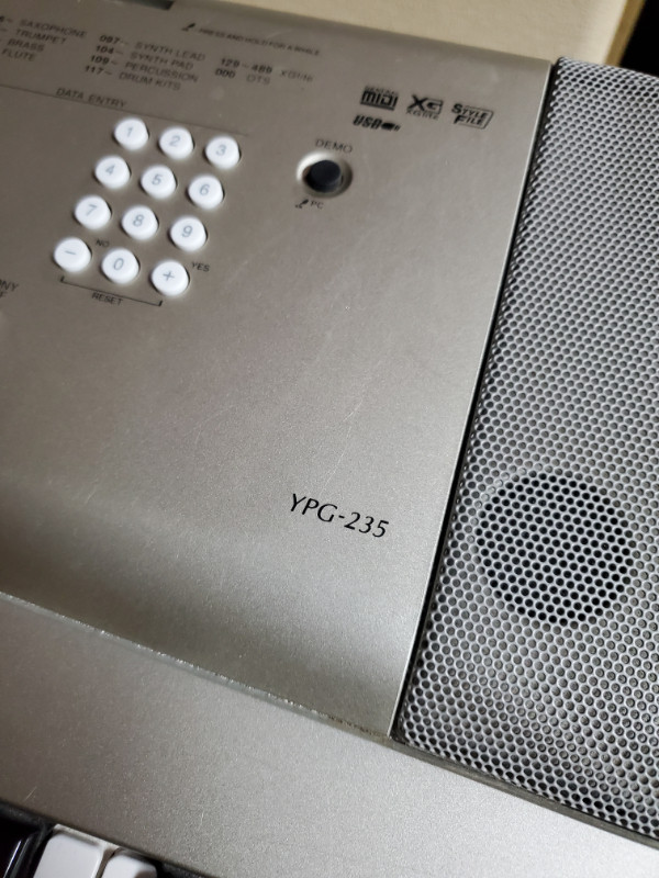 Yamaha YPG235 76 Key Portable Grand Piano with Stands and Damper