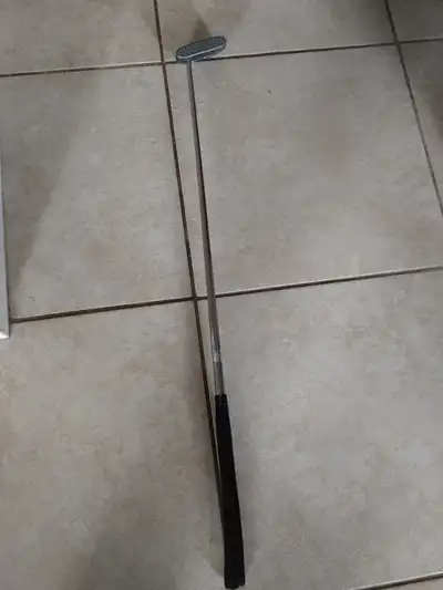 PUTTER PARADISE Champions Series RH, View more