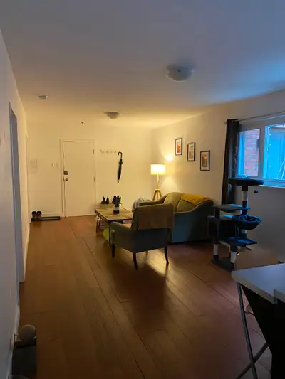 Colocation 4 1/2 fille Le Plateau -Cat friendly
