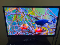 Used 32" Insignia NS-32D20SNA14 LED TV with HDMI 1080p for Sale