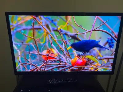 Used 32" Insignia NS-32D20SNA14 LED TV with HDMI 1080p for Sale, Can Deliver Make: Insignia Model: N...