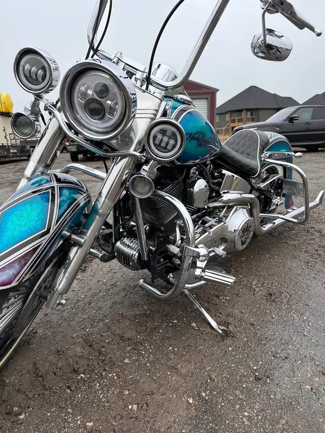 harley davidson in Street, Cruisers & Choppers in Leamington - Image 4