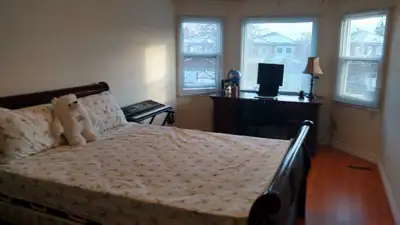 Spacious master bedroom on upper floor with own bathroom and fully furnished. Shared kitchen, laundr...