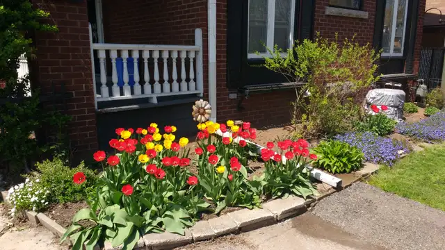 MASSIVE PRIVATE ROOM FOR RENT IN WEEKLY CLEANED HOME ALL INCL in Room Rentals & Roommates in Hamilton - Image 7