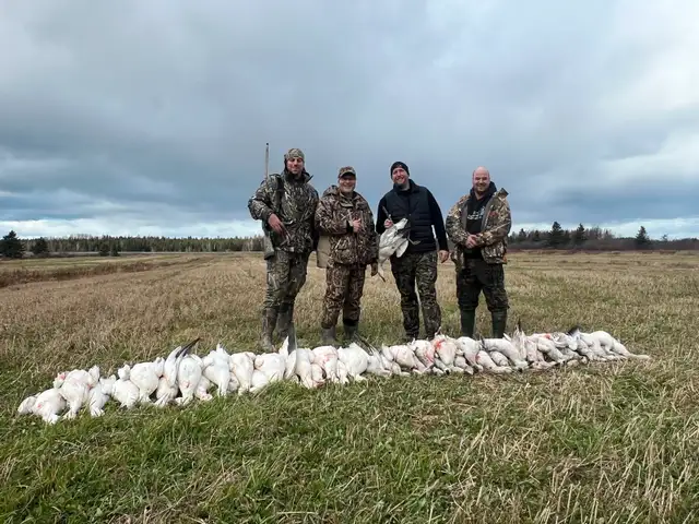 Guided hunting of migratory birds63280445030019123