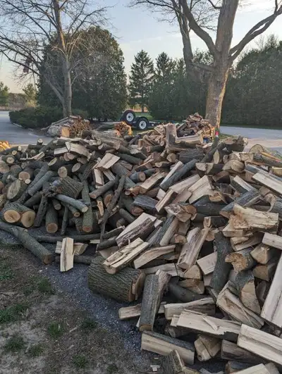 Firewood - Dry, View more