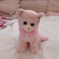 Kitty ty Plush toutou