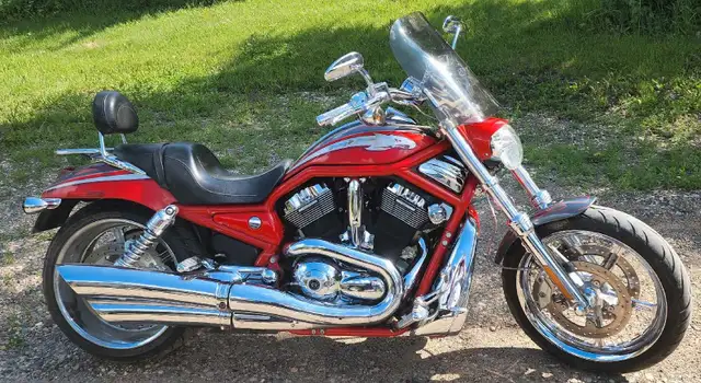 2006 Harley Davidson VRSCSE2 Screaming Eagle Vrod in Street, Cruisers & Choppers in Regina - Image 2