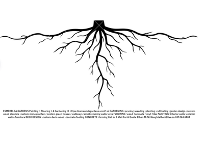 Paint and Construction, View more