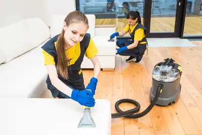 Professional cleaning in Kanata and Ottawa. Your home and garden with our reliable and quality servi...