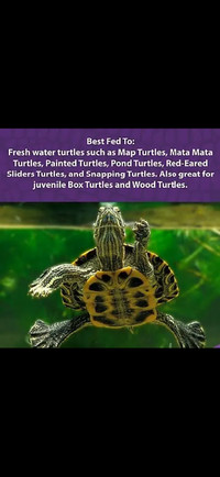 Mazuri High Protein Turtle Diet Pellet Food Vitamin enriched