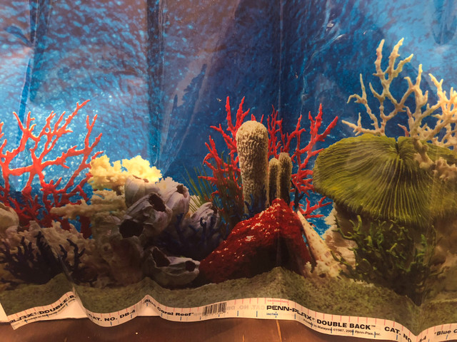 Aquarium Background. 19” High X 37” Long.  in Accessories in Edmonton - Image 3