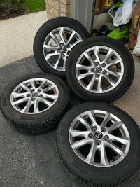 205/60R16 OEM Mazda rims with Conti TrueContact tires
