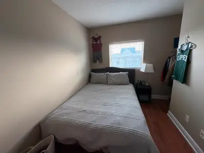 Room for Rent - Algonquin College