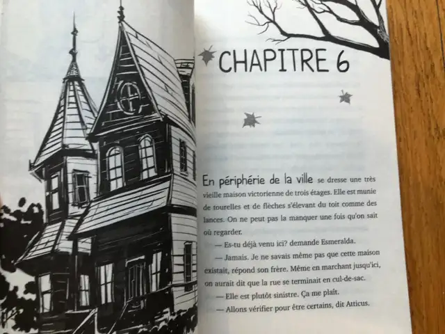 LIVRE ENFANT ADO JEUNESSE * CHRONIQUE DE L’OUTRE-TOMBE N°1 * in Children & Young Adult in Longueuil / South Shore - Image 5