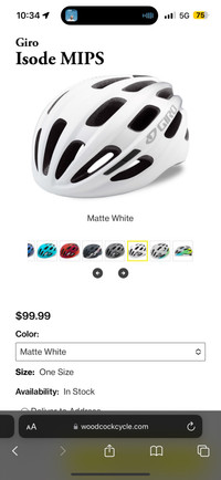 Giro Helmet Brand New