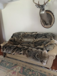 Coyote blanket 