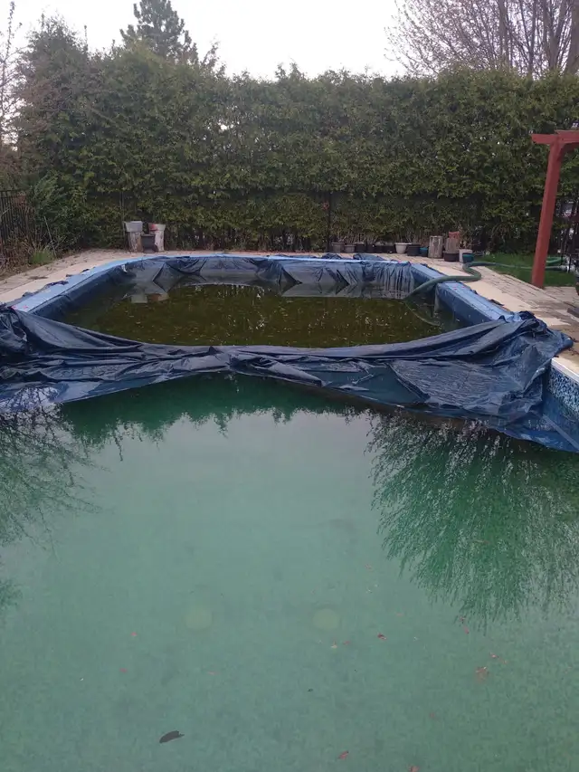 Pool opening62863276759553121