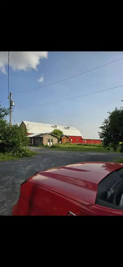 Turnkey 6-Acre Hobby Farm – Income & Upgrades! Experience the ultimate homestead life in Curran! Thi...