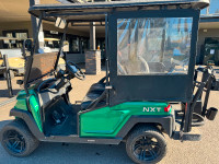 Premium electric golf cart
