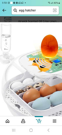 Egg Incubator