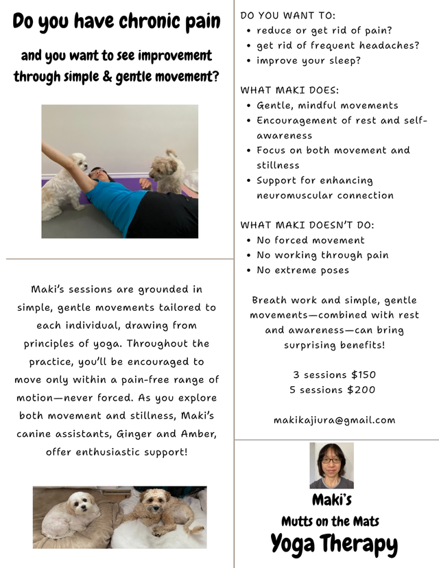 Mutts on the Matts Yoga Therapy64844384839938120