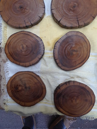 Black Locust Wooden Rounds 2 to 4 inch Dia. 12 for $10 to $15