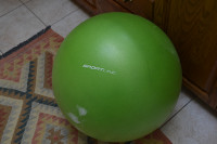 Sportline Exercise Ball.
