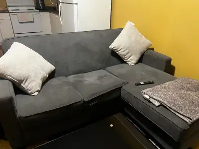 This is a comfy grey sofa that's perfect for any living room. It's in used condition, showing some s...