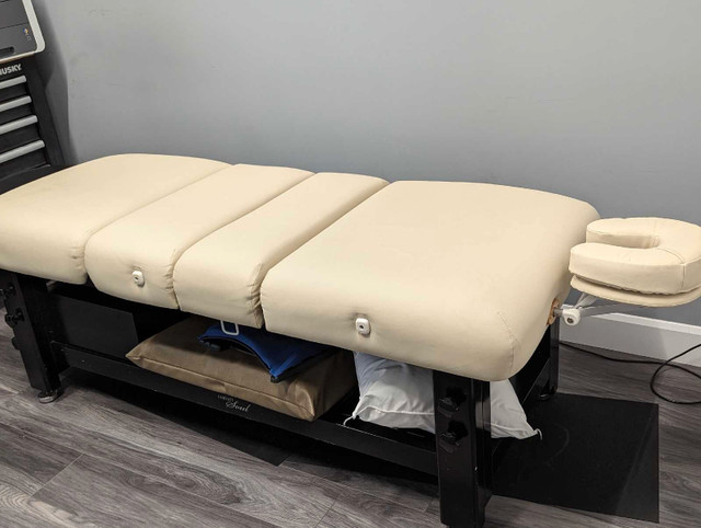 Comfort Soul DENALI ELITE Spa Treatment Table in Health & Special Needs in Sarnia - Image 2