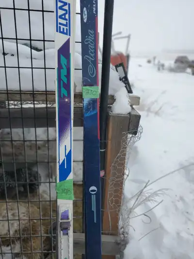 Elan TM and Peltin Acadia Skis, View more