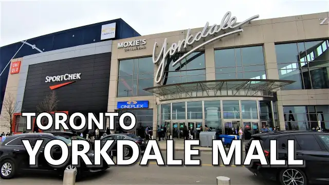 Room for Rent next to Lawrence West subway station & Yorkdale in Room Rentals & Roommates in City of Toronto - Image 11