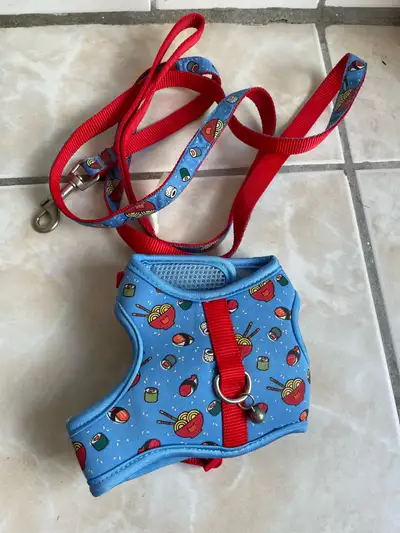 Kitten Brand New Leash & Harness Set, View more