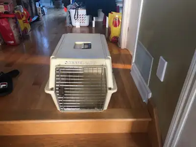 Niche de Transport, View more