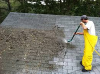 Roof/gutter cleaning