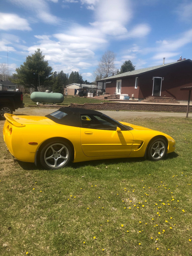 2000 Corvette Convertible  in Cars & Trucks in Timmins - Image 2