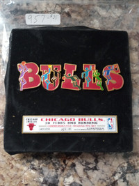 Chicago Bulls Lapel Pin Set ltd Edition 30 Years NBA Champions