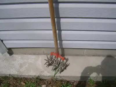 Gardening and lawn care tools, View more
