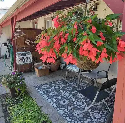 Two bedroom Row house with washer & dryer