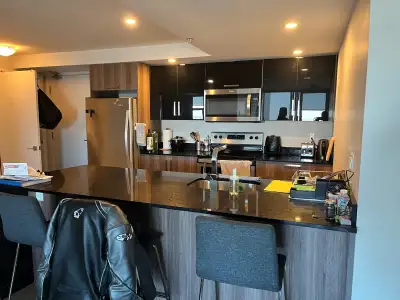 Looking for a roommate to share another bedroom attached with full bathroom in a penthouse (sea faci...